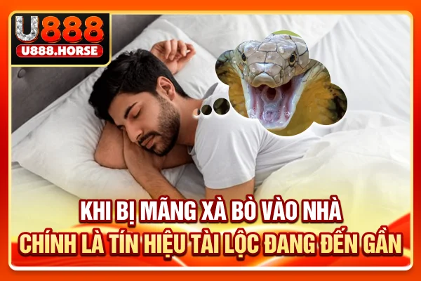 Khi bị mãng xà bò vào nhà chính là tín hiệu tài lộc đang đến gần