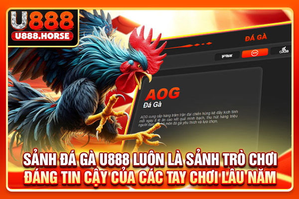 Sảnh đá gà U888 luôn là sảnh trò chơi đáng tin cậy của các tay chơi lâu năm